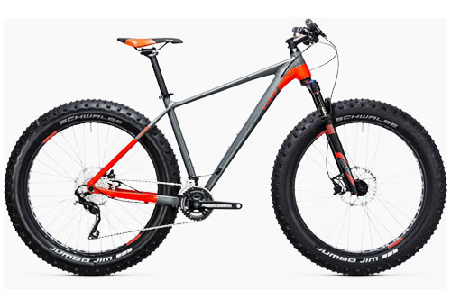 
				  Fat Bikes